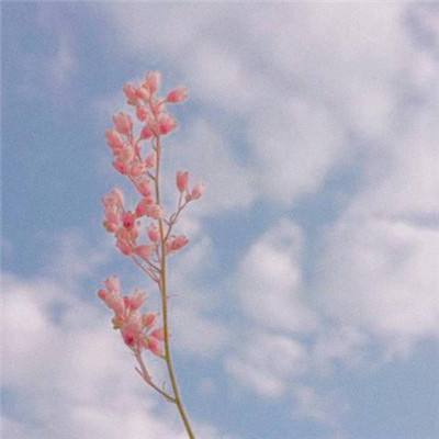 半岛网页版入口官网