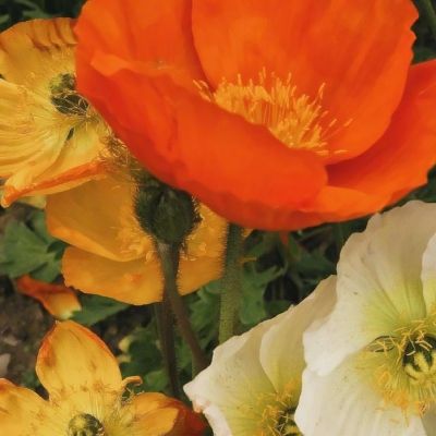 爱游戏app下载手机版