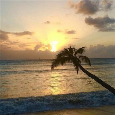 金沙官方登录入口