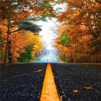 半岛综合APP下载