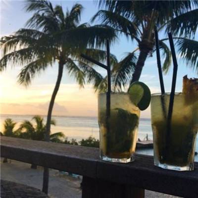 半岛.综合体育入口